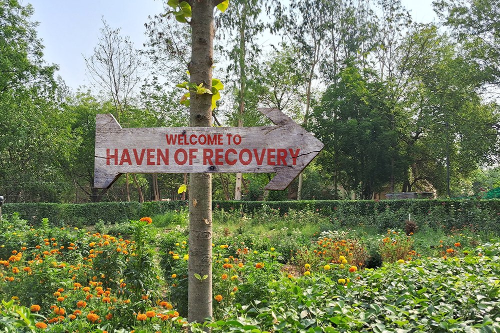 Anvita Garden